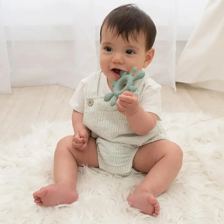 splash teether sage
